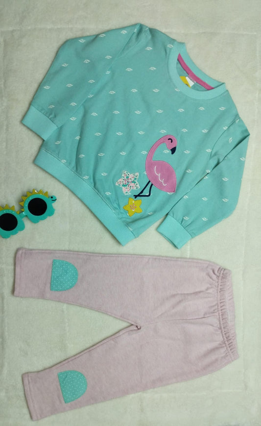 FULL SLEEVES CASUAL WINTER FLAMINGO PATCH IN PINK